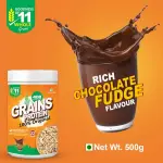 MDB Grains Protein | Fudge Flavor | 500g Pack